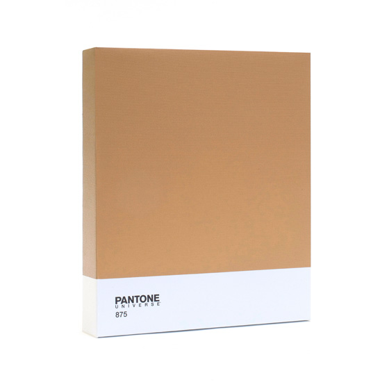 canvas prints van Pantone 875 bruin