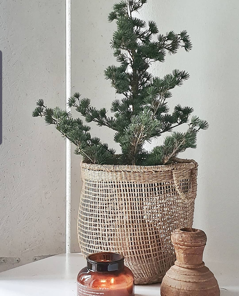 Gezelligheid in huis – krans van olijftakken en toffe nep kerstboom