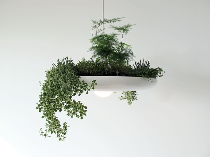 Originele lamp met planten
