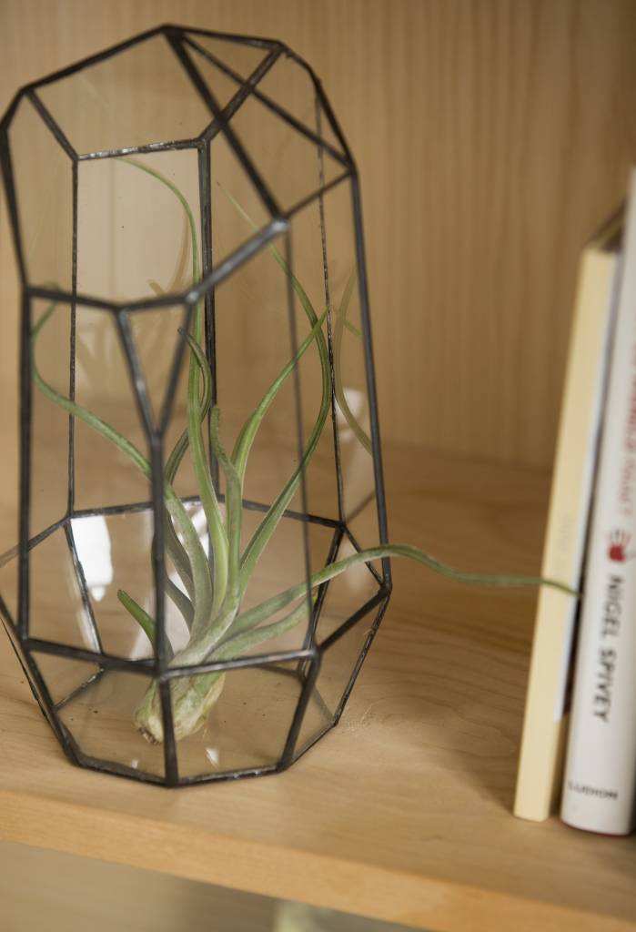 Plantenbox van glas