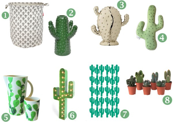 Cactus accessoires