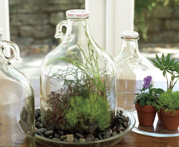 Terrarium met planten
