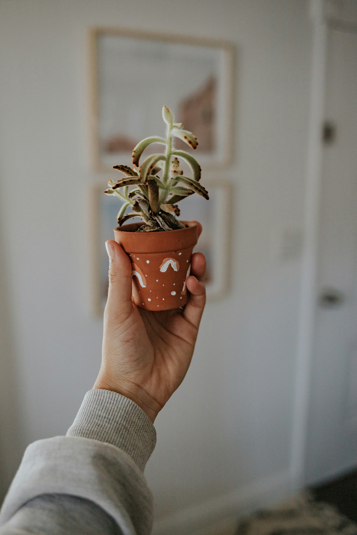 DIY Terracotta Bloempotten B...