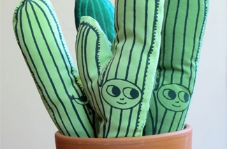 Cactussen voor de kinderkamer
