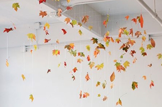 Creatief met herfstbladeren