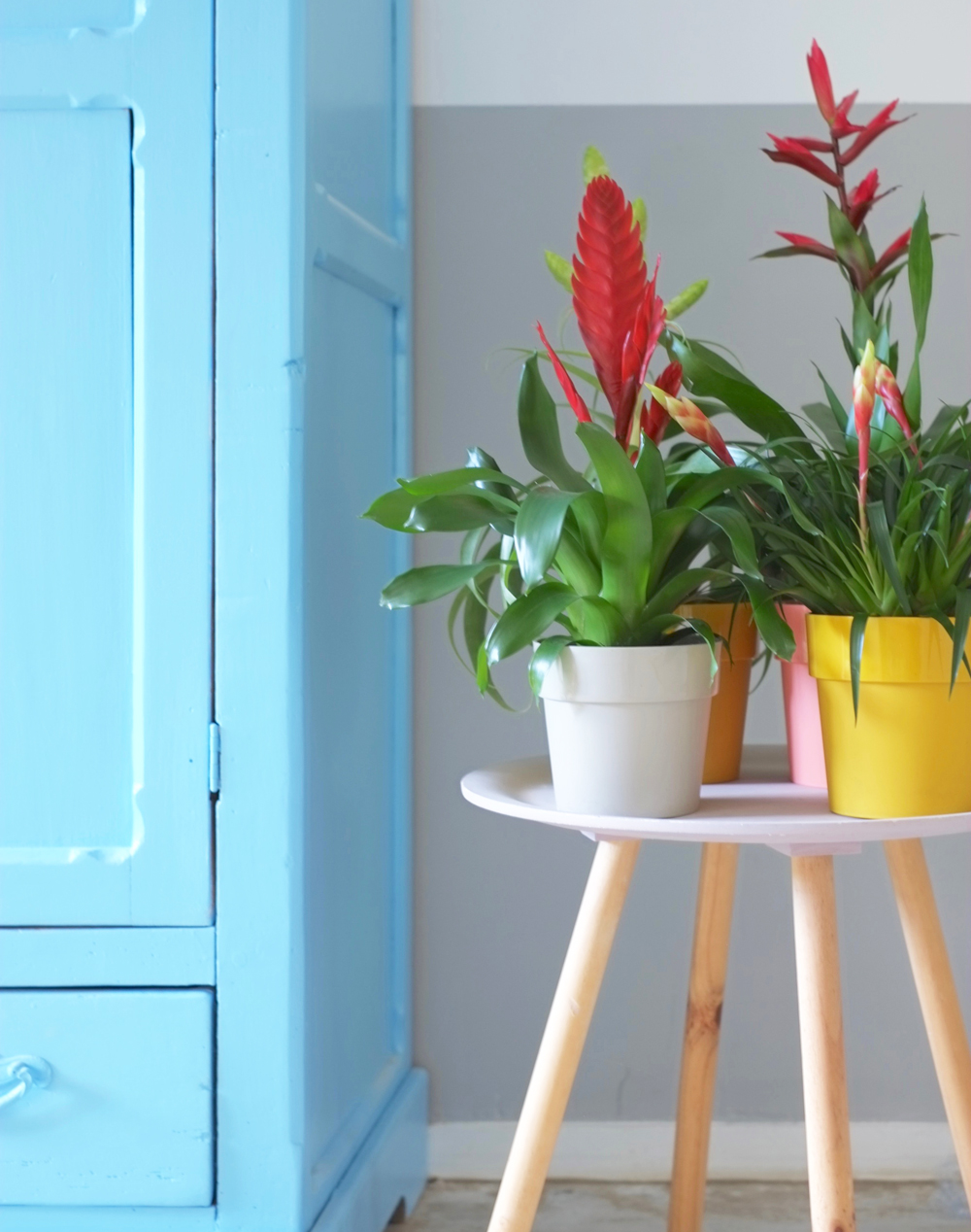 groen in huis maar net even anders