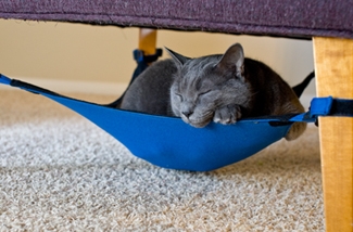 Hangmat voor je kat
