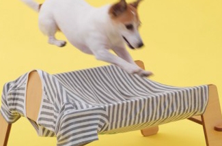 Hangmat voor je hond