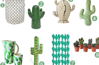 Inspiratie voor de cactus
