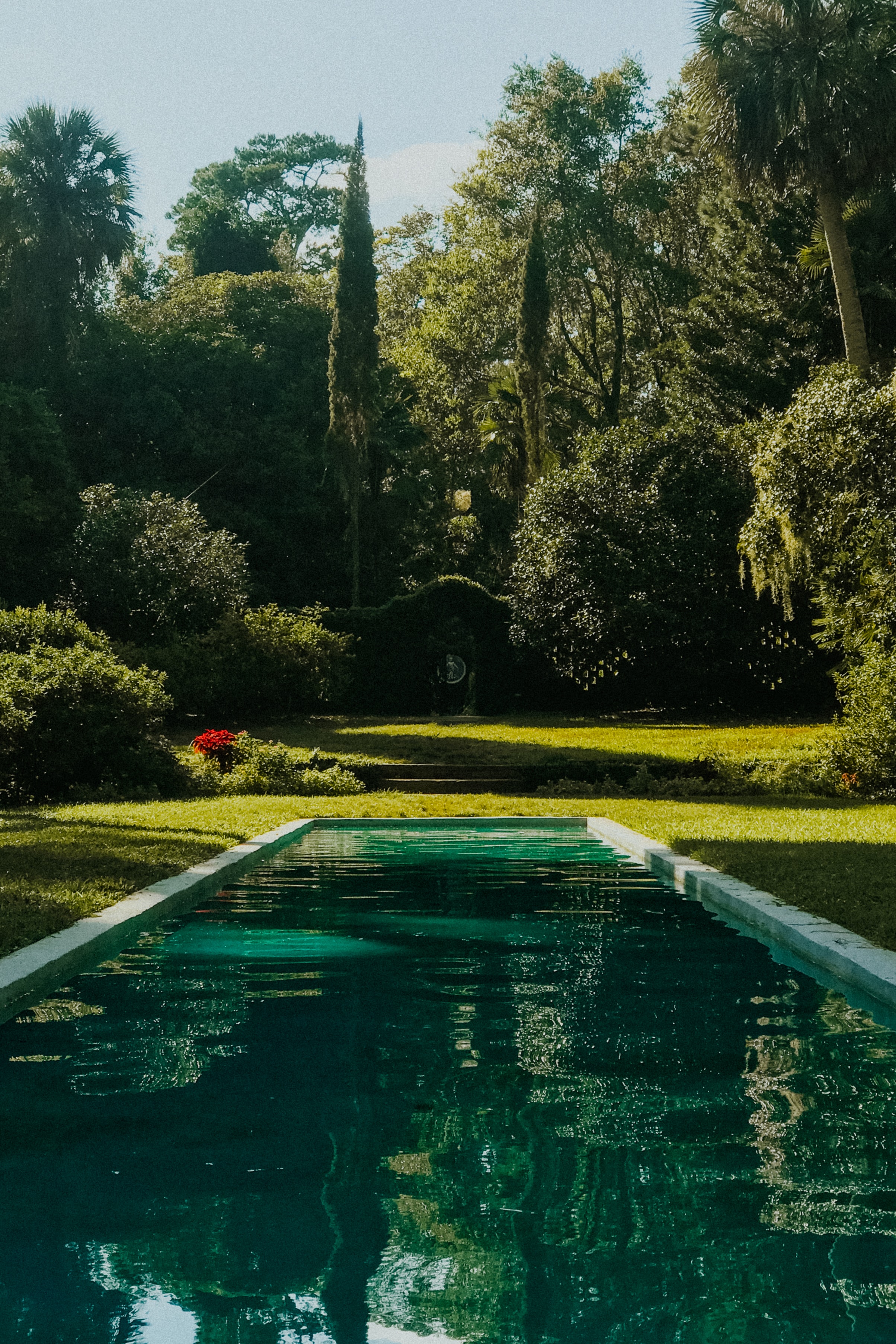 Verkoeling in de tuin – zwemvijver plaatsen