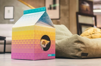 Kattenhuisje van karton