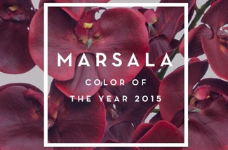 Marsala = Pantone kleur van het jaar