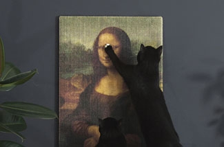 Ook je kat houdt van kunst