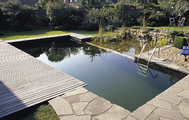 Maak een zwemvijver – geniet het hele jaar van water in je tuin