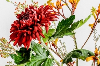 styling-met-bloemen-kl.jpg
