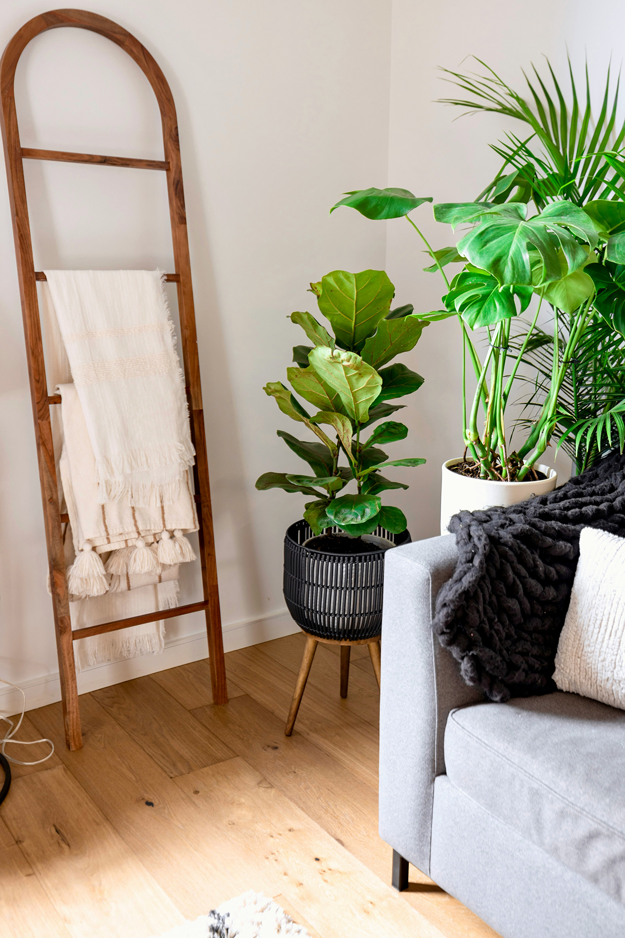 plants in your interior