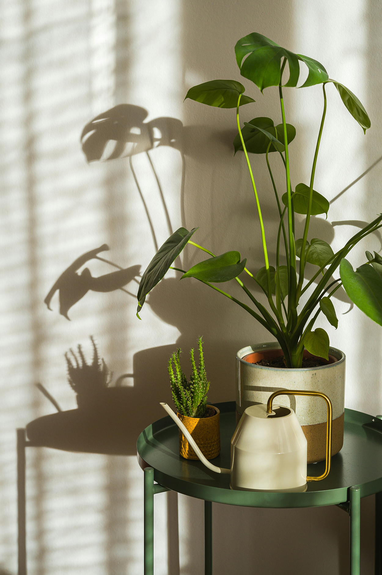 planten in je interieur